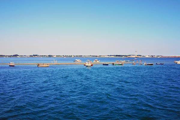 Tour Sant'Erasmo - Tour panoramico Sant'Erasmo - Tour in motonave Sant' Erasmo